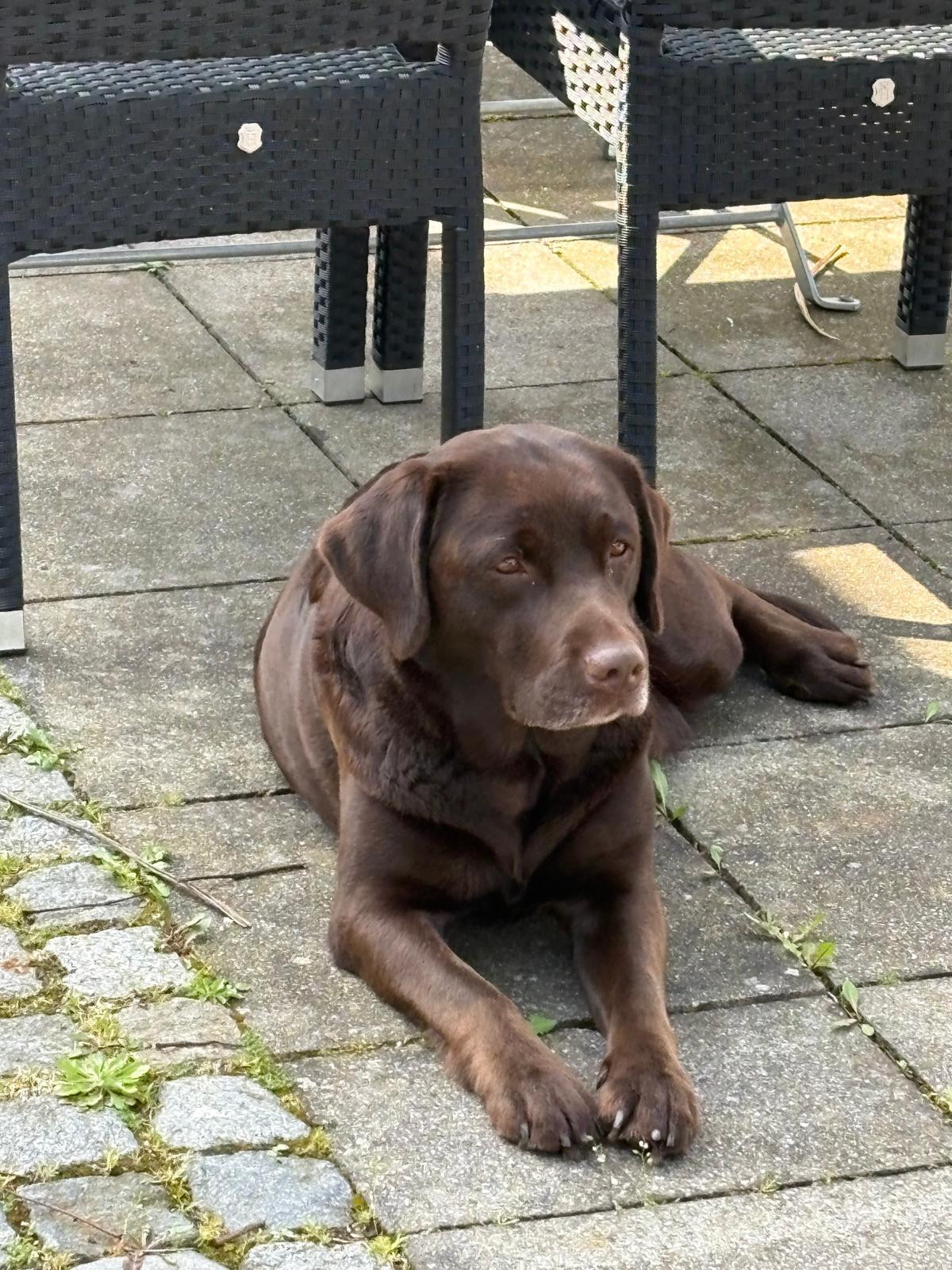 WhatsApp Image 2026 04 11 at 18.35.51 3