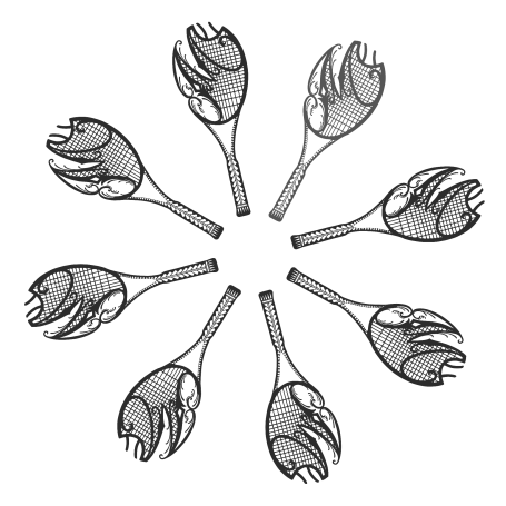 Tennisschule Meigel Logo